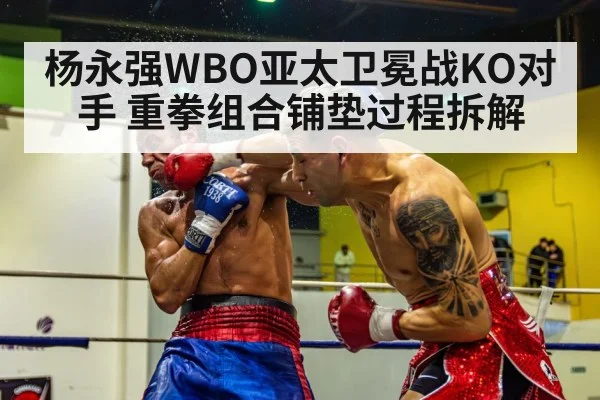 杨永强WBO亚太卫冕战KO对手 重拳组合铺垫过程拆解